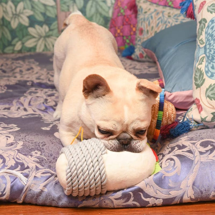Hugsmart Products Inc dog toys Fiesta Chewsday Burrito Rope Plush Dog Toy