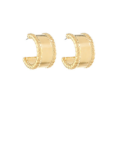 Gleaming Wide Earrings