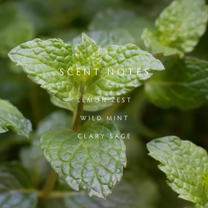 Linnea Hand Wash, Crushed Mint