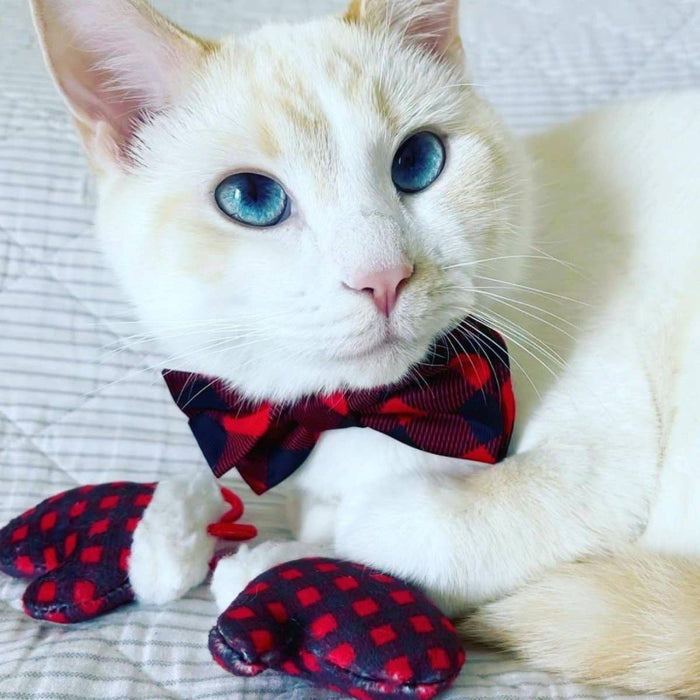 Mittens for Kittens! Christmas Holiday Winter Red Checkered Plush Cat Toy