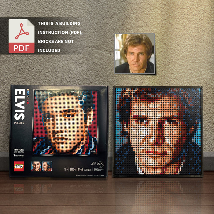 31204-han solo