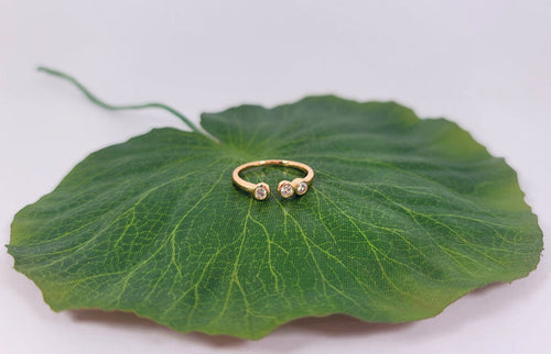 Alignment Ring
