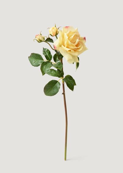 Artificial Real Touch Juliet English Rose in Yellow - 22" - Sweet Water Decor - faux flower