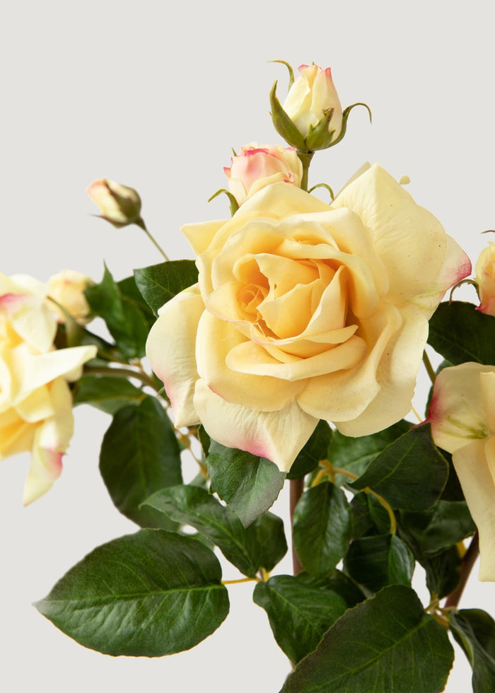 Artificial Real Touch Juliet English Rose in Yellow - 22" - Sweet Water Decor - faux flower