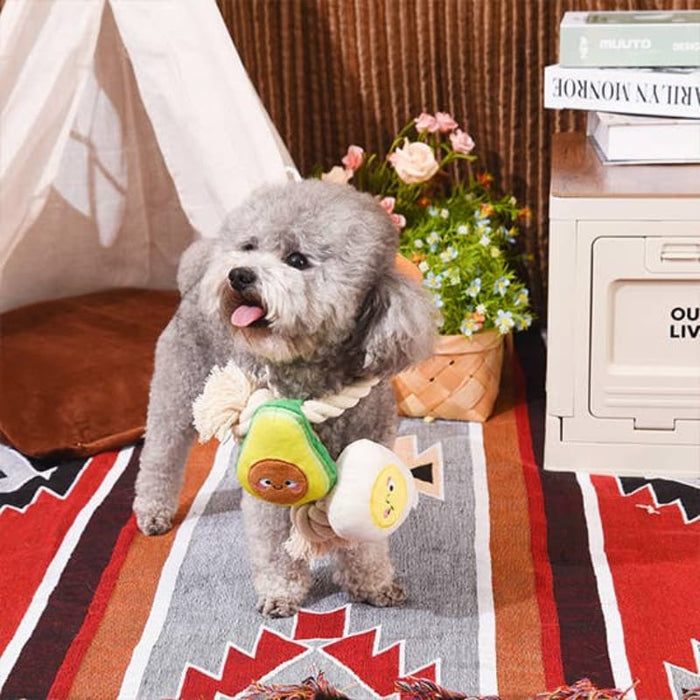 Hugsmart Products Inc dog toys Avocado Collection Toast and Egg Rope Plush Dog Toy