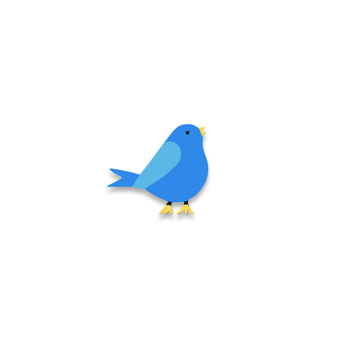 Bird Magnet