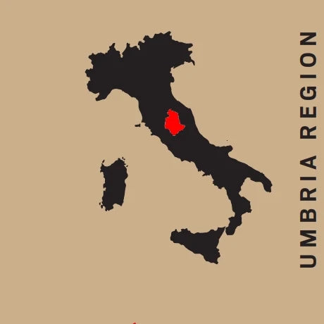 Cantina Tudernum, Umbria Rosso 2025