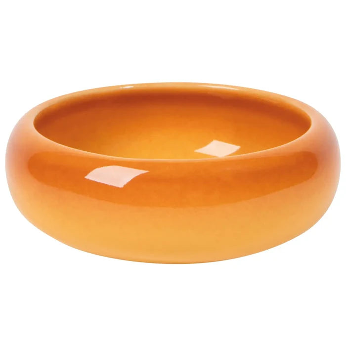 Canyon Opus Dish