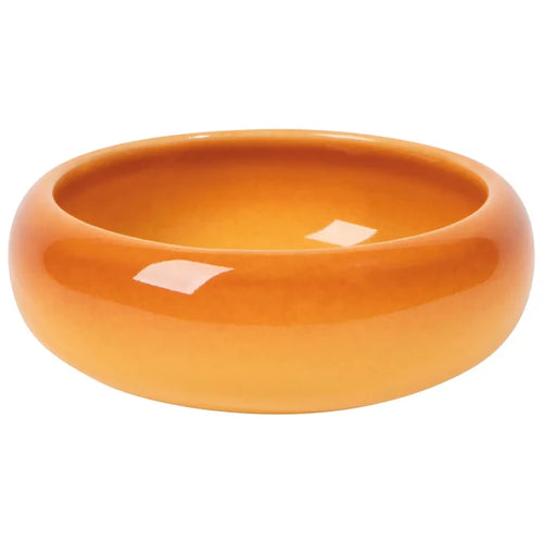 Canyon Opus Dish