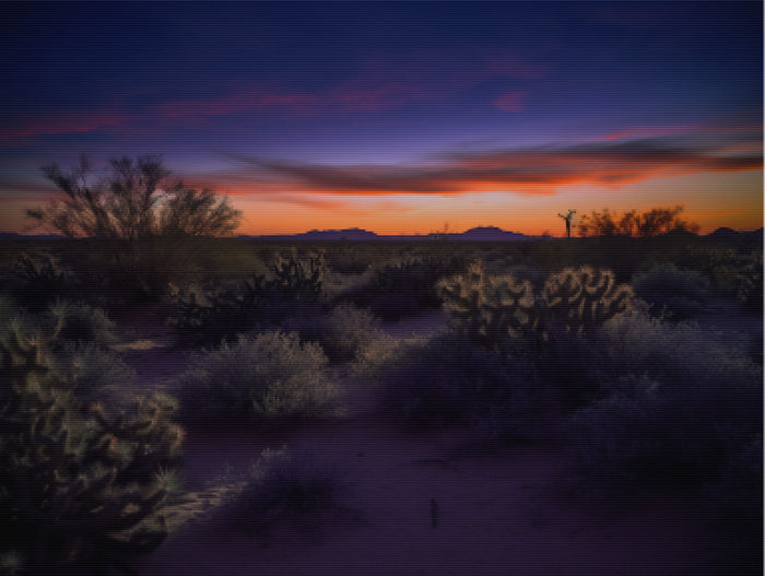 Desert at Twilight