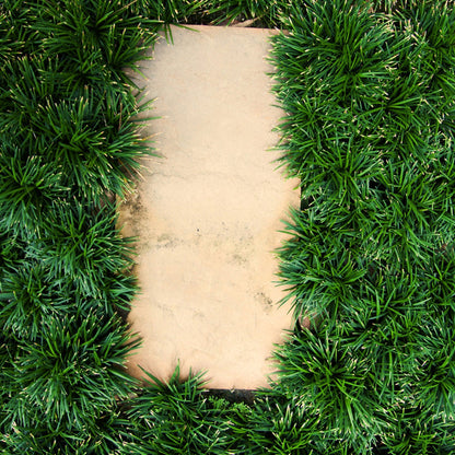 Dwarf Mondo Grass