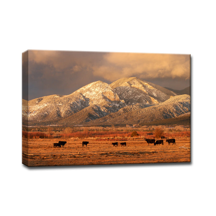 El Salto Cattle' Wrapped Canvas Wall Art