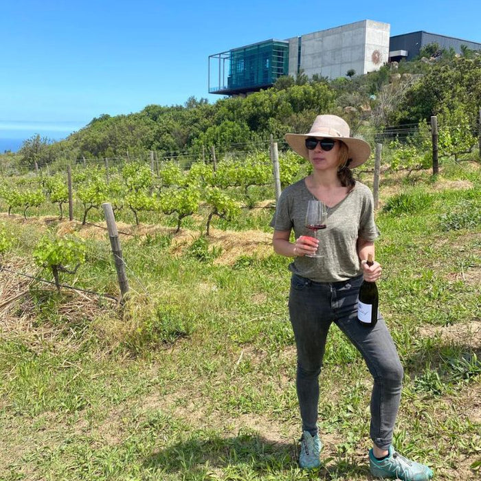 False Bay, Windswept Sauvignon Blanc 2025