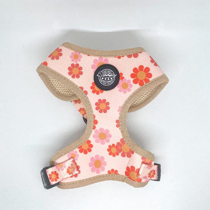 Chicago Dog Co. Pet Collars & Harnesses Flower Power Harness
