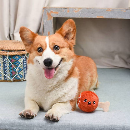 Hugsmart Products Inc dog toys Food Party Ham Ball Dog Toy