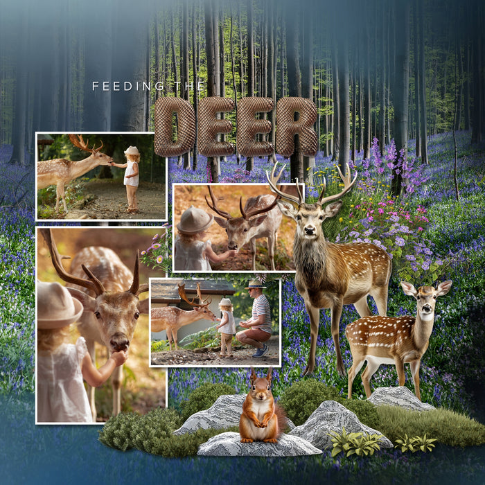 Be inspired by the beautiful colors of the forest with these beautiful masked spring overlays by Lucky Girl Creative digital art filled with scenic tree landscapes. With transparent edges, these masked photographs blend seamlessly into any background paper and make the perfect backdrop for photos of nature, the outdoors, and even spring.