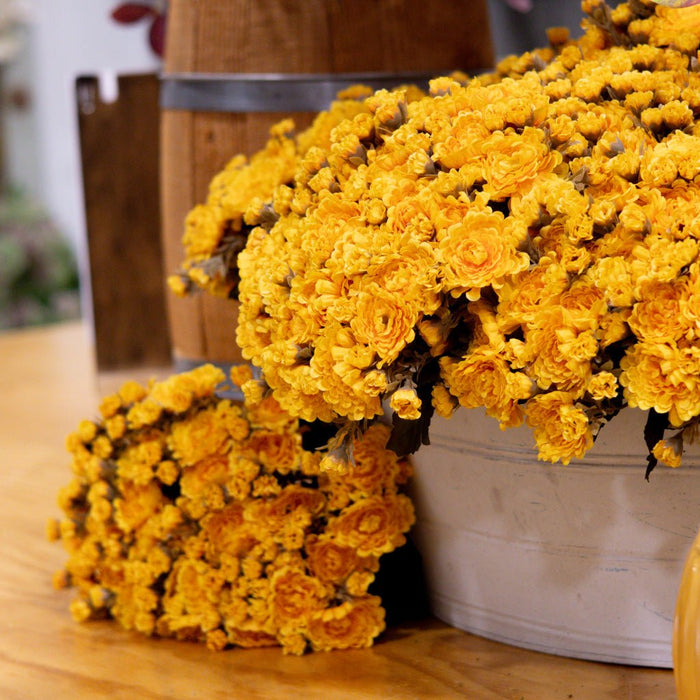 Gold Yellow Mum Bush Stem - Sweet Water Decor - faux flower