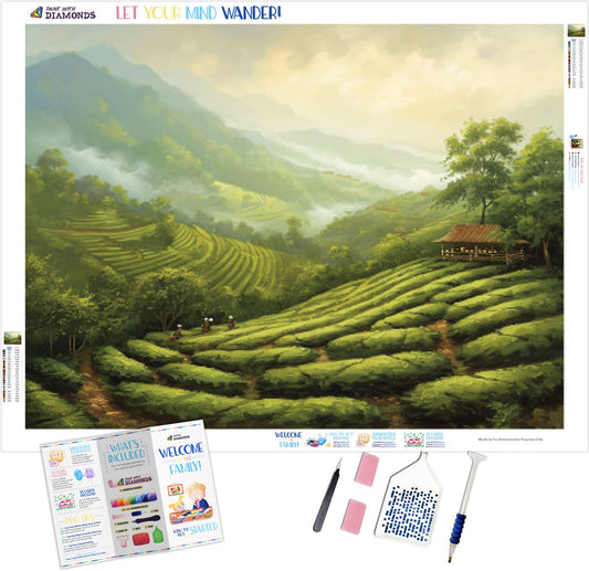 Green Tea Plantation