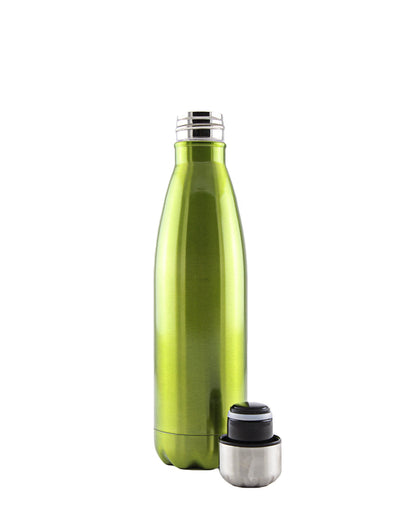 Kitchen Life 500ml Flask - Green Apple