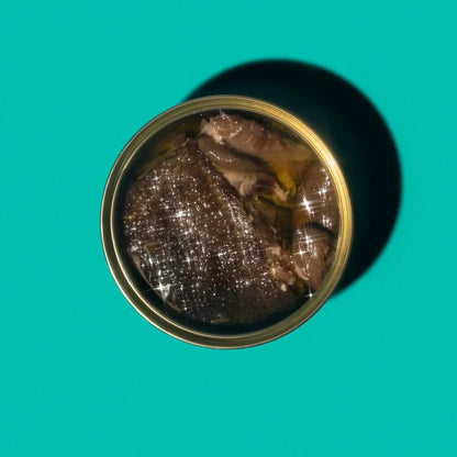 Top-down view of a can of food on a teal background