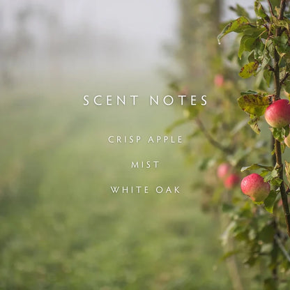Linnea Candle, Fog