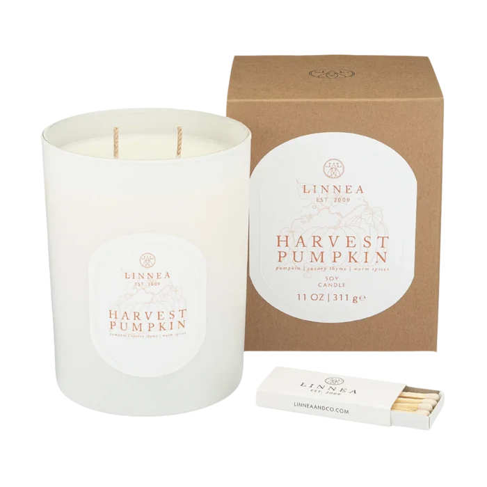 Linnea Candle, Harvest Pumpkin