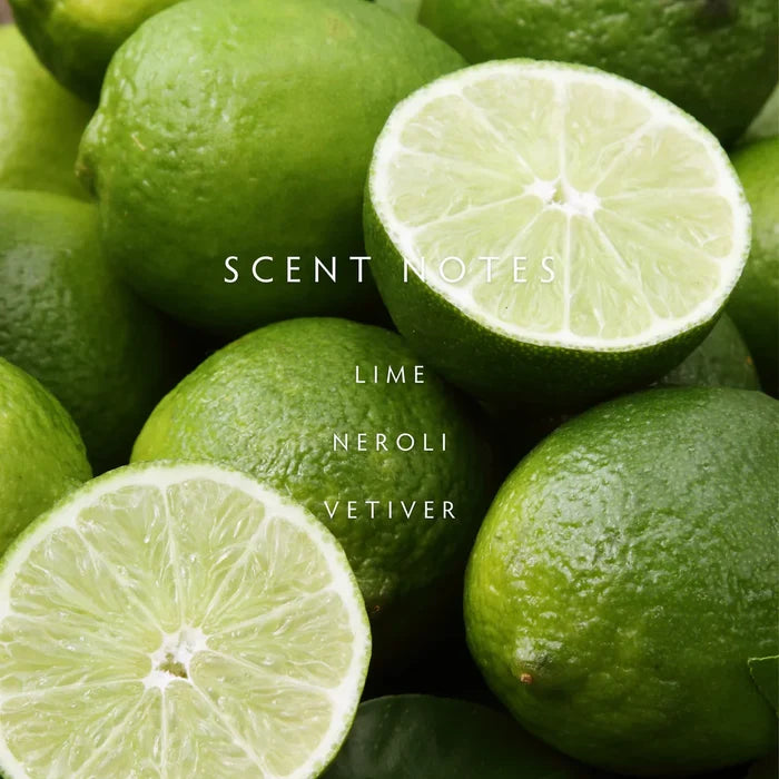 Linnea Candle, Persian Lime
