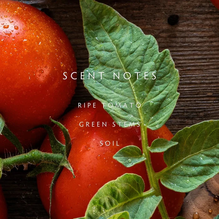Linnea Hand Wash, Heirloom Tomato