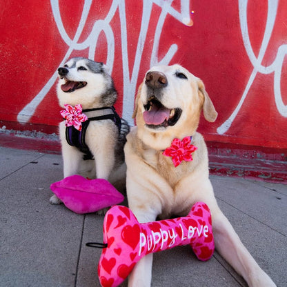 Huxley & Kent Bow Ties My Puppy Love Red Hearts Pink Pinwheel Flower Pet Collar Attachment - 2 Sizes