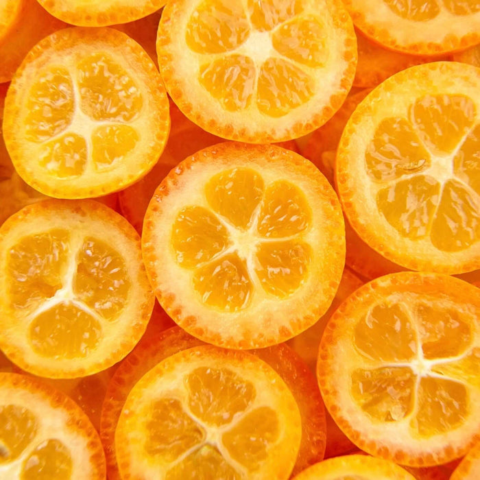 Nagami Kumquat Tree (7863713825023)