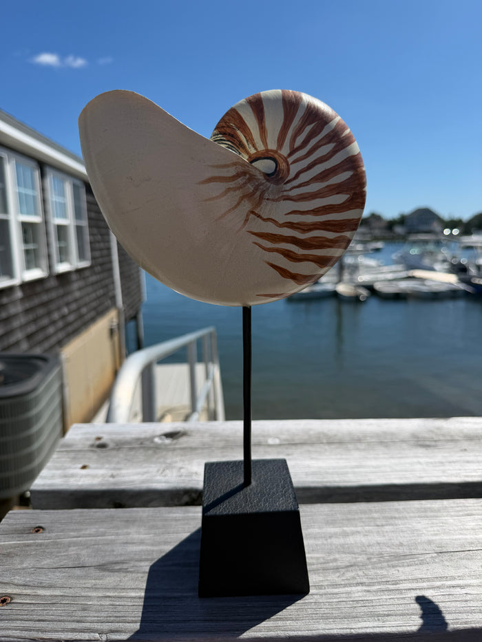 Nautilus Shell Coastal Decor on Stand