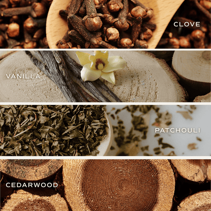 Palo Santo Patchouli Hanging Air Freshener - Sweet Water Decor - Air Freshener