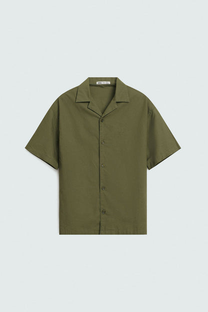 Mid Olive