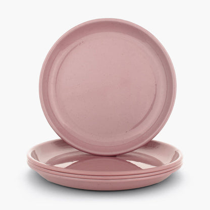 Rolled Enamelware Plate Set