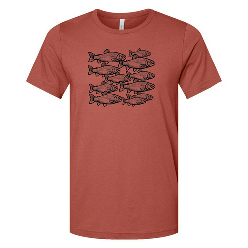 Clay-colored t-shirt with a graphic of a school of fish, designed and heat-pressed by AdventureUs in Washburn WI