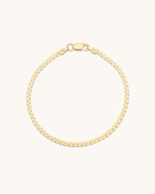 Serpentine Chain Bracelet