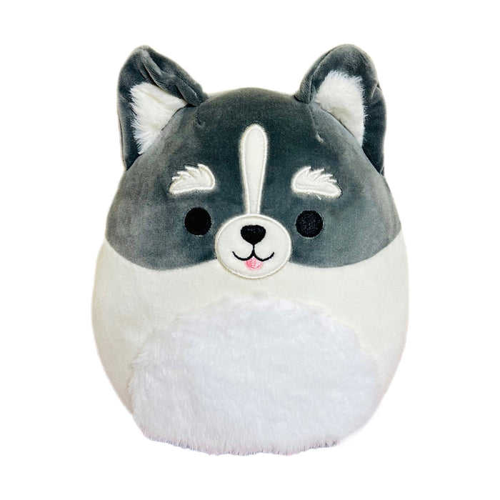 Squishmallow 12 Inch Paolo the Pomsky Plush Toy