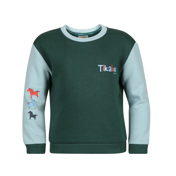 GREEN HORSE / 2/3YRS