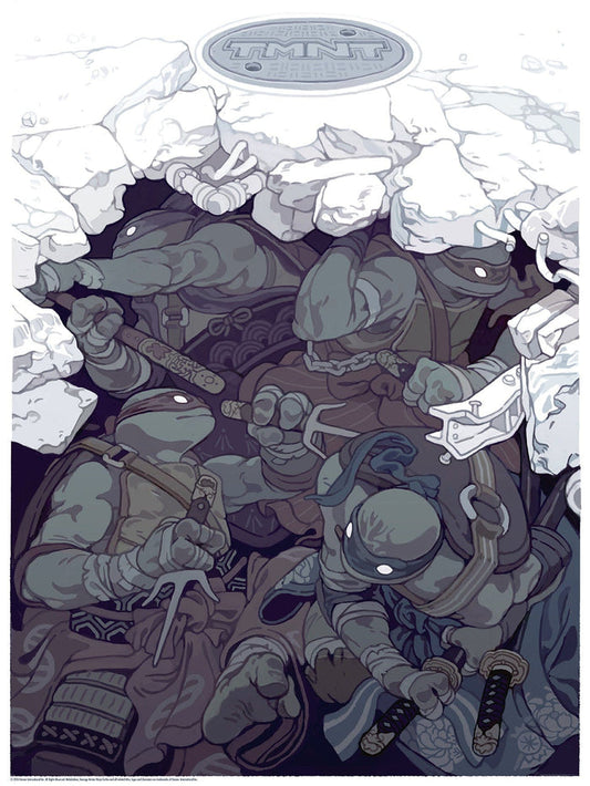 TMNT (Samurai)