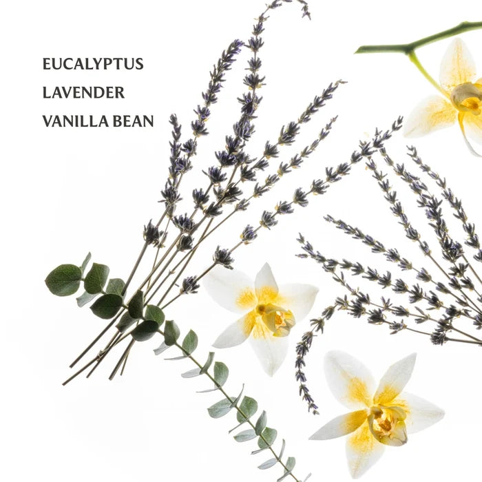 Pure Lavender