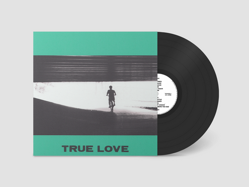 Hovvdy - True Love Vinyl & Merch | Fat Possum Records
