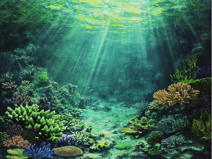 Underwater Serenity