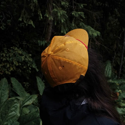 Person wearing a yellow cap and dark clothing in a forest setting